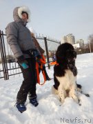 Превью фото № 199423