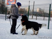 Превью фото № 199424