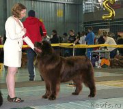 Превью фото № 199429