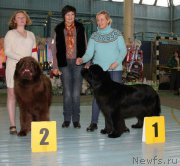 Превью фото № 199430