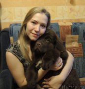 Превью фото № 199445