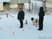 Превью фото № 199489