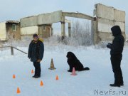 Превью фото № 199491