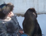 Превью фото № 199530