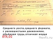 Превью фото № 199584