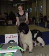 Превью фото № 199684