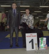 Превью фото № 199689