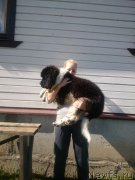 Превью фото № 199752