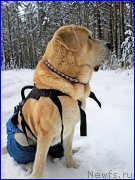 Превью фото № 199817