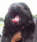 Превью фото № 19983