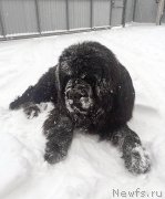 Превью фото № 199867