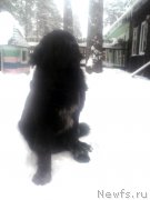 Превью фото № 199925