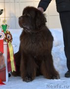 Превью фото № 199987