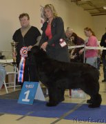 Превью фото № 199993