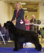 Превью фото № 199995