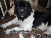 Превью фото № 199997