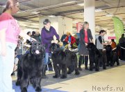 Превью фото № 200061