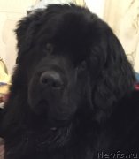 Превью фото № 200063