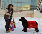 Превью фото № 200148