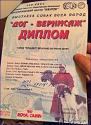 Превью фото № 200154