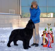 Превью фото № 200187