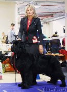 Превью фото № 200192