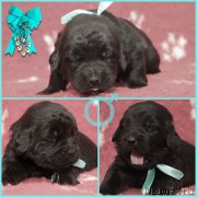 Превью фото № 200195