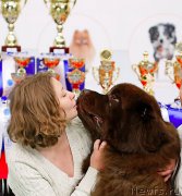 Превью фото № 200217