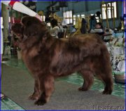 Превью фото № 200236