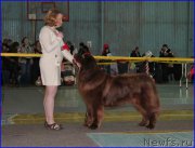 Превью фото № 200237