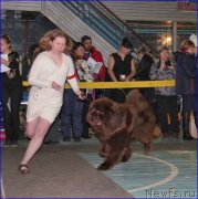 Превью фото № 200240