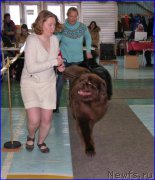 Превью фото № 200241