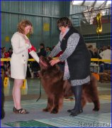 Превью фото № 200244