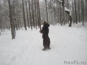 Превью фото № 200249