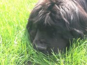 Превью фото № 200297