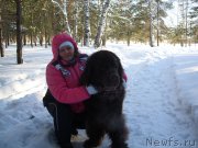 Превью фото № 200468