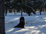 Превью фото № 200472