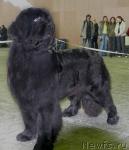 Превью фото № 20050