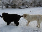 Превью фото № 200501