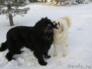 Превью фото № 200503