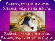 Превью фото № 200572