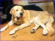 Превью фото № 200573