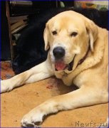 Превью фото № 200576