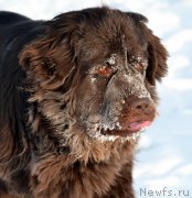 Превью фото № 200600