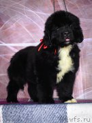 Превью фото № 200611