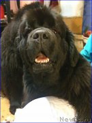 Превью фото № 200622