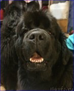 Превью фото № 200623