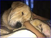 Превью фото № 200635