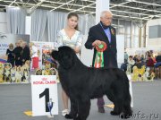 Превью фото № 200637