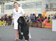 Превью фото № 200638